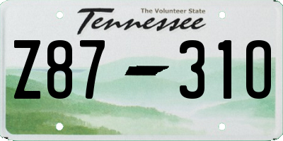 TN license plate Z8731O