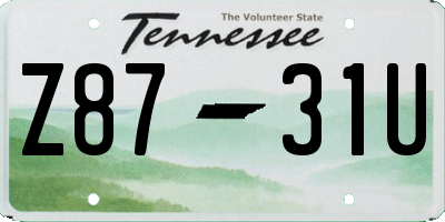 TN license plate Z8731U