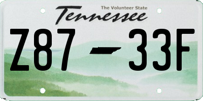 TN license plate Z8733F