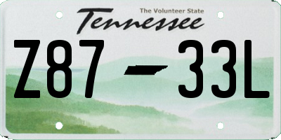 TN license plate Z8733L