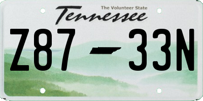 TN license plate Z8733N