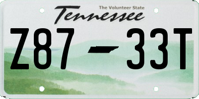 TN license plate Z8733T