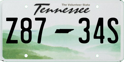 TN license plate Z8734S