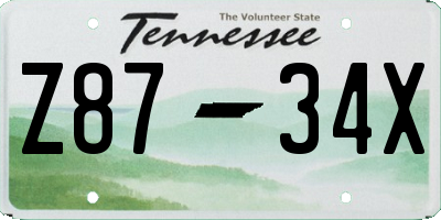 TN license plate Z8734X