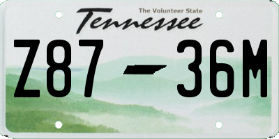 TN license plate Z8736M