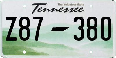 TN license plate Z8738O