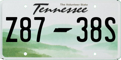 TN license plate Z8738S