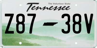 TN license plate Z8738V