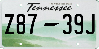 TN license plate Z8739J