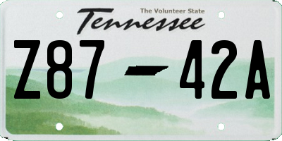 TN license plate Z8742A