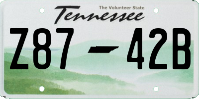 TN license plate Z8742B