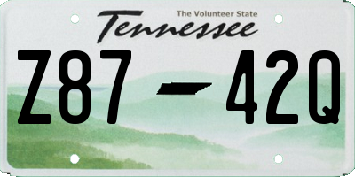 TN license plate Z8742Q