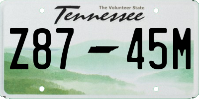 TN license plate Z8745M