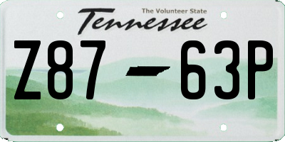 TN license plate Z8763P
