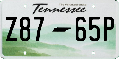 TN license plate Z8765P
