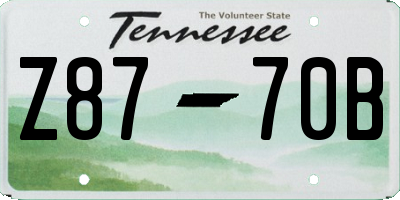 TN license plate Z8770B