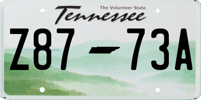 TN license plate Z8773A