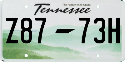 TN license plate Z8773H