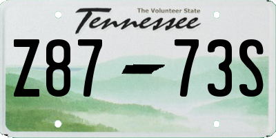 TN license plate Z8773S