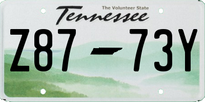 TN license plate Z8773Y