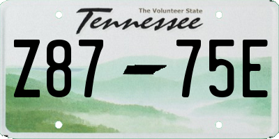TN license plate Z8775E