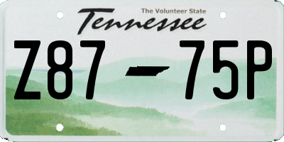 TN license plate Z8775P