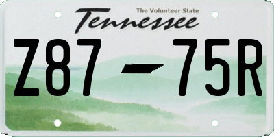TN license plate Z8775R