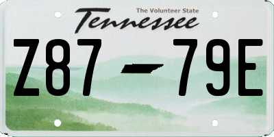 TN license plate Z8779E