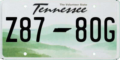 TN license plate Z8780G
