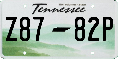 TN license plate Z8782P