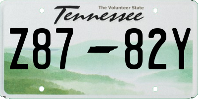 TN license plate Z8782Y