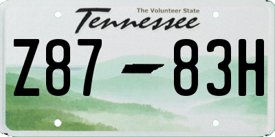 TN license plate Z8783H