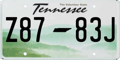 TN license plate Z8783J