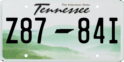 TN license plate Z8784I