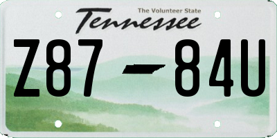 TN license plate Z8784U