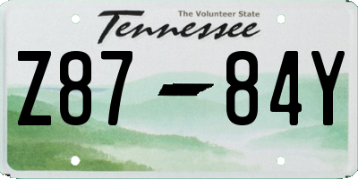 TN license plate Z8784Y
