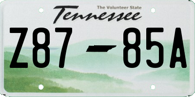 TN license plate Z8785A