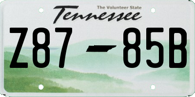 TN license plate Z8785B
