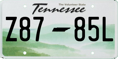 TN license plate Z8785L