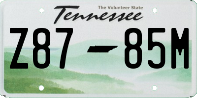 TN license plate Z8785M