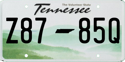 TN license plate Z8785Q