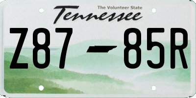 TN license plate Z8785R