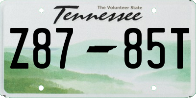 TN license plate Z8785T
