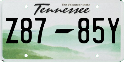 TN license plate Z8785Y