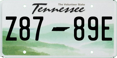 TN license plate Z8789E