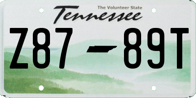 TN license plate Z8789T