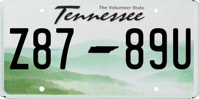 TN license plate Z8789U