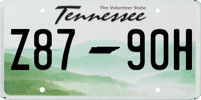 TN license plate Z8790H