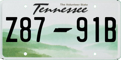 TN license plate Z8791B