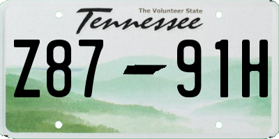 TN license plate Z8791H